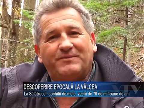 DESCOPERIRE EPOCALA LA VALCEA