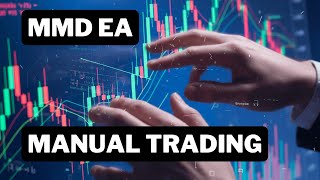 Q&A by MMD - 2025-11-11 - Test MMD EA Manual Trading