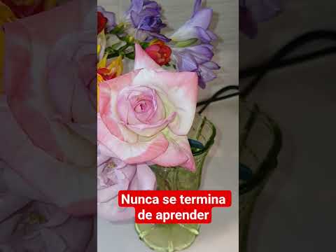 Aprendi como conservar mas dias las flores.