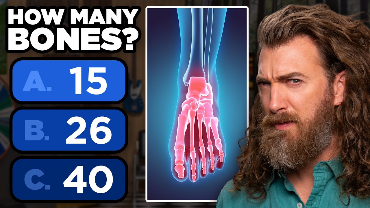 Who Can Get The Most Right?