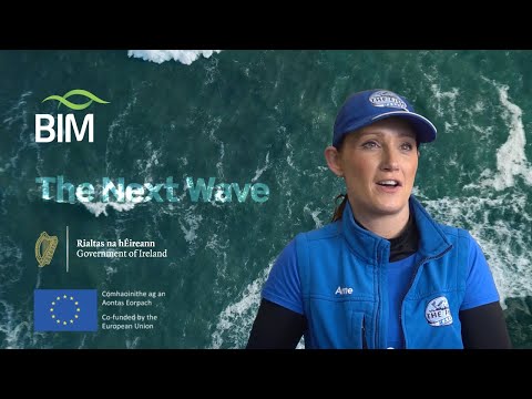 The Next Wave - Anne Stephens - The Fish Market