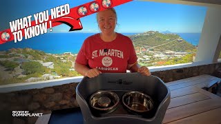 Neater Feeder Deluxe Review – Is This the Best Mess-Proof Dog Feeder