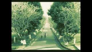 Cơn Mưa Ngang Qua_Lady