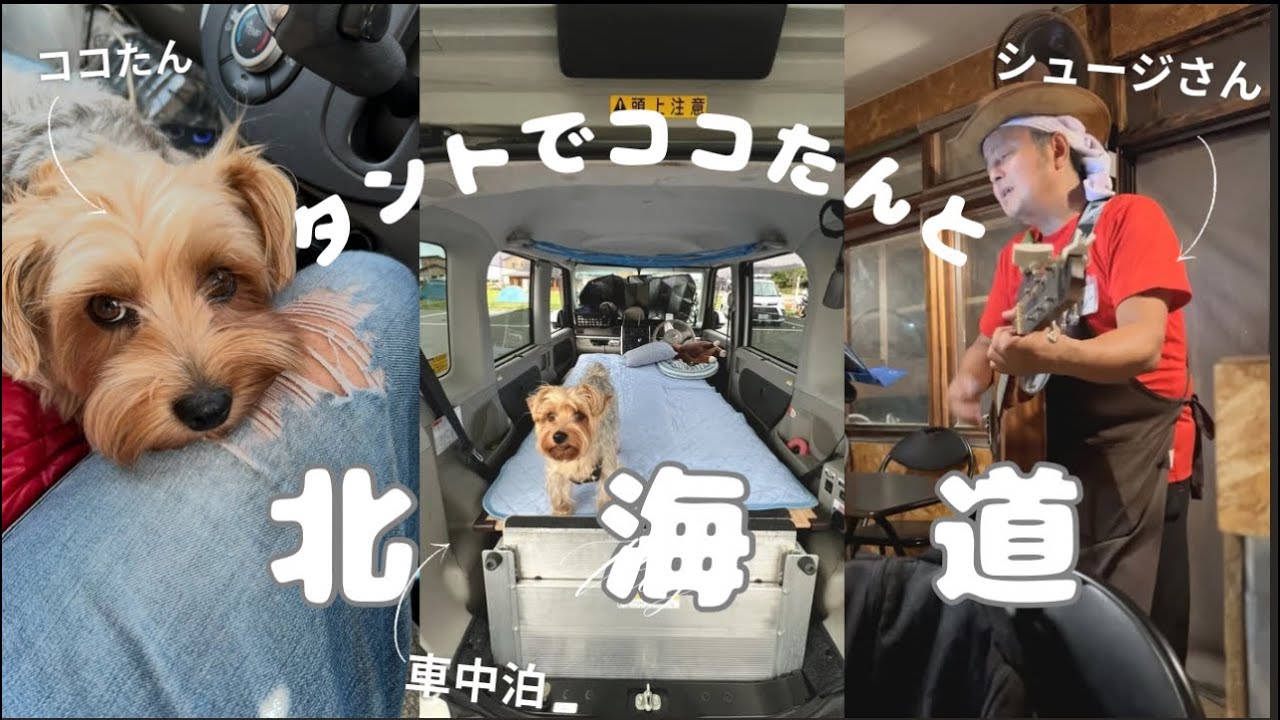 【発見！】ライブが味わえる北海道のキャンプ場みっけ！　バイクを載せたタントでCOCOたんと旅に行ってきましたぜ！