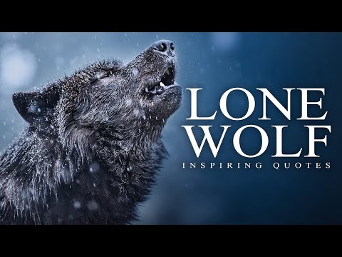 Lone Wolf Quotes you need to know