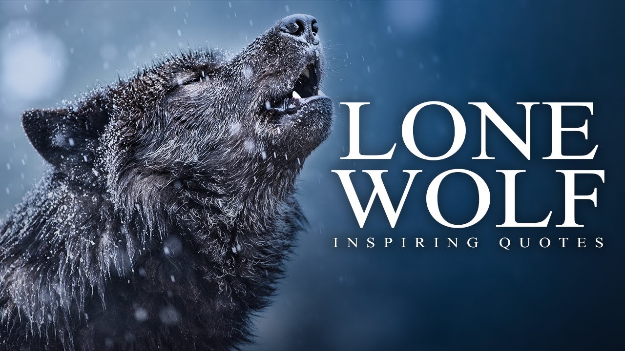 Lone Wolf Quotes you need to know