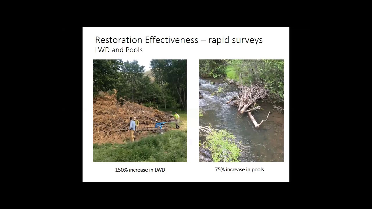 Progress and challenges on testing the effectiveness of process-based low-tech restoration - Bennett