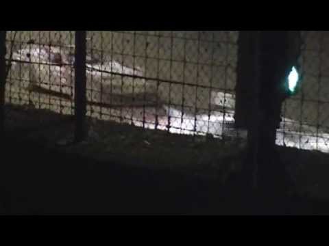 2012 Victorian super sedan title highlights Crashes and roll