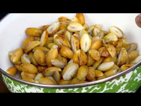 Sayur kurma jejak si gundul 15 03 18 3 3