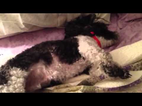 Can't get comfortable