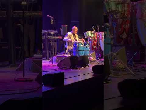 Nippy Noya conga solo at 77 year