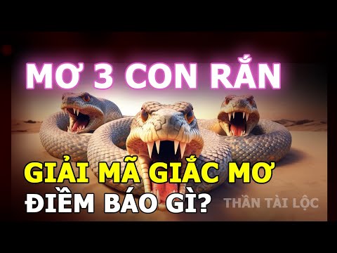 Mơ thấy 3 con rắn - Chiêm bao thấy 3 con rắn điềm báo lành hay dữ, đánh con gì?