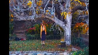 Download lagu Placebo - Sad White Reggae, fan made video mp3 Download lagu Placebo - Sad White Reggae, fan made video mp3