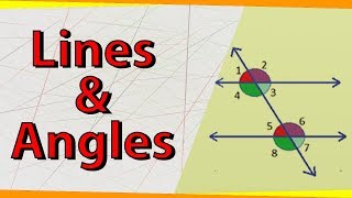 Lines and Angles | Geometry | Math | Letstute