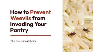 How to Get Rid of Weevils in Your Home, Pantry, and Cupboards | The Guardian