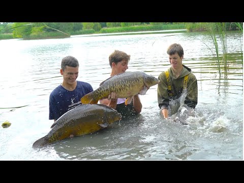 download lagu mp3 mp4 Fish And Ch, download lagu Fish And Ch gratis, unduh video klip Fish And Ch