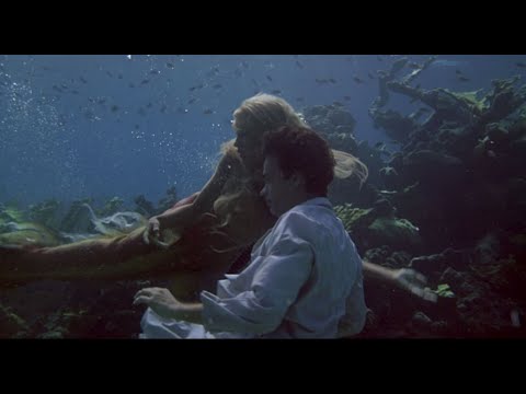 Splash / Full Movie Fact & Review In English / Tom Hanks / Daryl Hannah