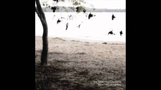 The Tallest Man On Earth - To Just Grow Away