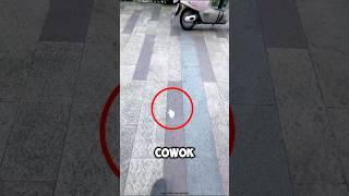 Download lagu They found money on the street, the ending is hilarious! 🤣 mp3 Download lagu They found money on the street, the ending is hilarious! 🤣 mp3