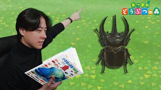 本物の図鑑で行くあつもり‼ ＃26【あつまれ どうぶつの森】