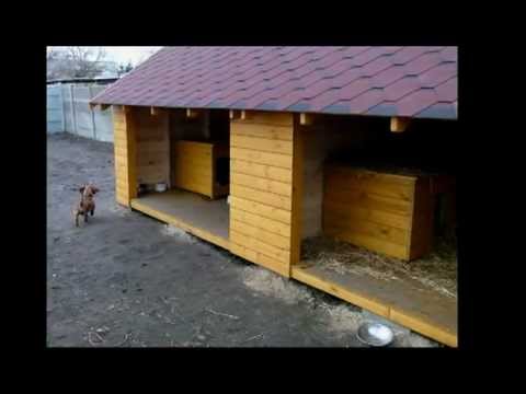 Geriatria I-Schronisko Kalisz.mpg