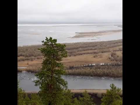 Ледоход с высоты Кангаласского мыса Ледоход с высоты Кангаласского мыса