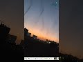 Mosquitoes Make A Tornado In Pune