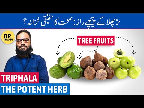 Triphala: Sehat Ka Asli Khazana? Triphala Benefits in Urdu/Hindi | Dr. Ibrahim