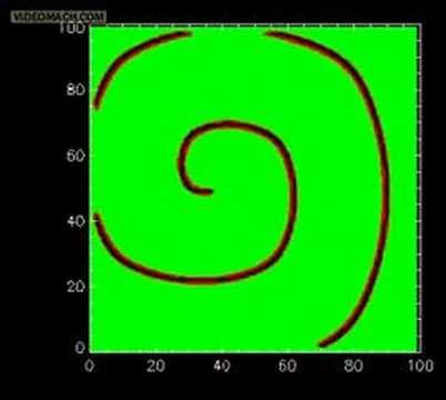 spiral wave in the Kuramoto excitable model