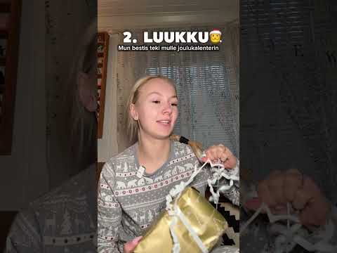 2. LUUKKU | Bestiksen tekemä joulukalenteri