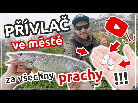 PŘÍVLAČ VE MĚSTĚ “ZA VŠECHNY PRACHY!!!”