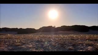 Mhananana   Voice Costa Del Sol Mix
