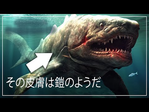 先史時代のサメ – 絶滅したサメと生きたサメの例