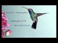 Alex Clare - Hummingbird (DUButy&FuxSTEP "don ...