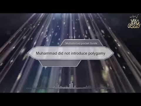 Muhammad did not introduce polygamy