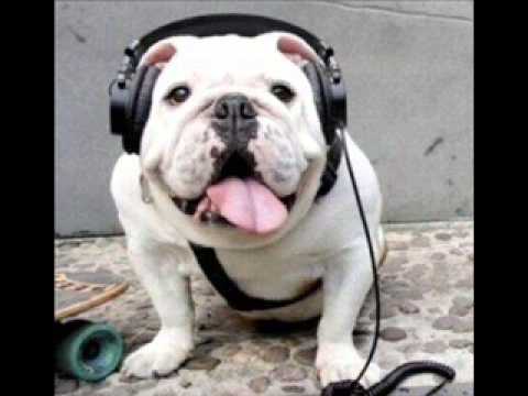 Benny Benassi feat Serj Tankian - Shooting Helicopters