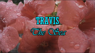 The Sea - Travis (Sub-Español/Lyrics)