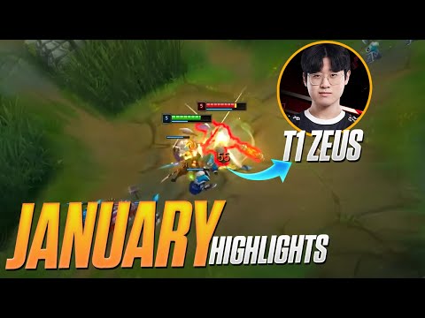 January Highlights | Dzukill
