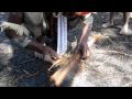 Dani Man Starts Fire With Friction