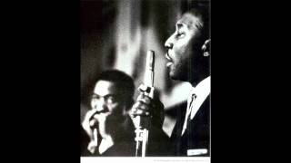 Muddy Waters - I&#39;m Ready