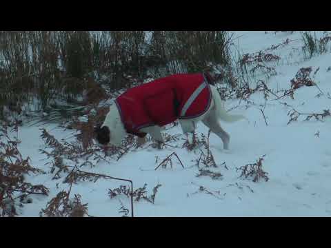 Keld to Crackpot Hall (Ruins)