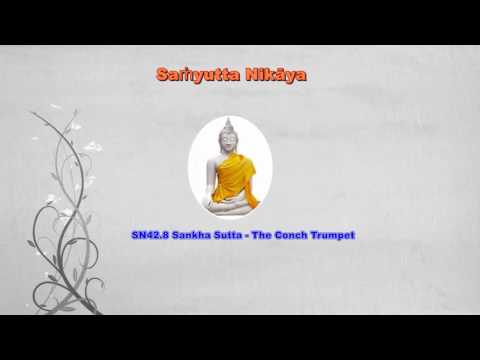 Saṁyutta Nikāya 42 6   11