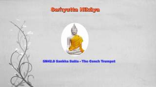 Saṁyutta Nikāya 42 6   11