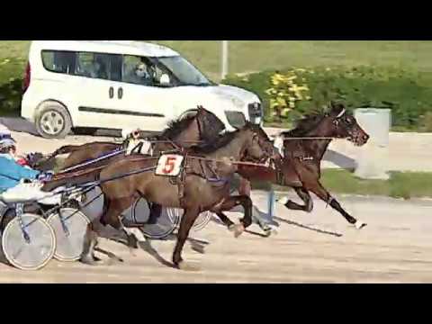 Aversa trotto 29 Febbraio 2020 - 3° Corsa