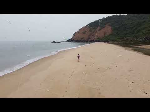 A woman photographs the sea on an empty beach, seagulls fly over the sea, aerial photography