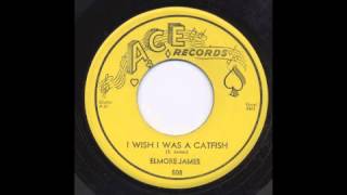 ELMORE JAMES - I WISH I WAS A CATFISH - ACE