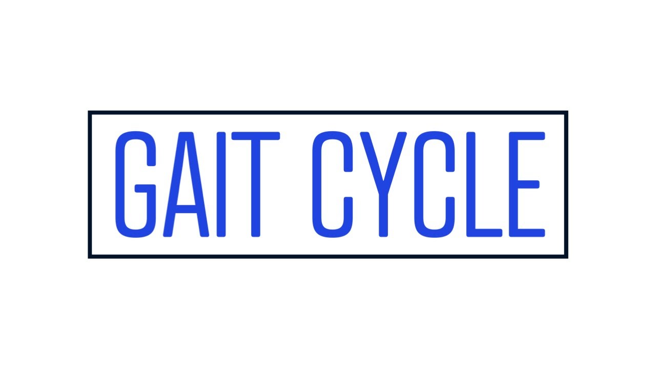How I Get My PTA Students To Understand the Gait Cycle