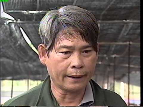 漁鄉風情畫-第046集