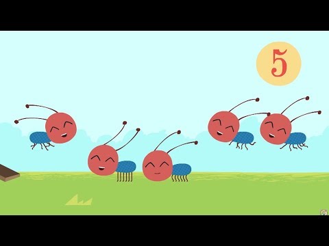 Castoro Costruttore - Uno scivolo per le formichine - Numero 5 | Cartoni animati