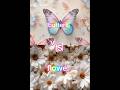 Butterfly Versus Flower
